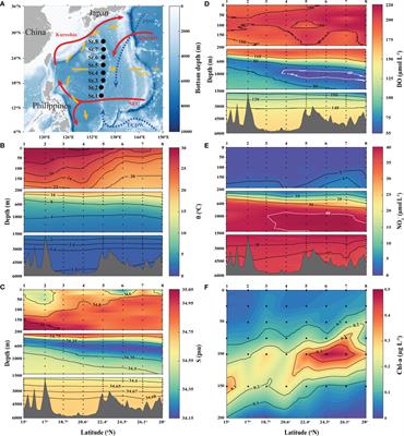 Distribution and Production of N2O in the Subtropical Western North Pacific Ocean During the Spring of 2020